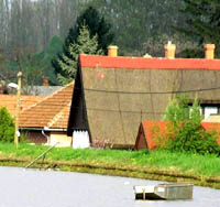 Nemzeti Vízstratégia vélemény