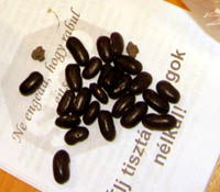 Vetőmagcsapda – Petíció tájfajtáinkkért!