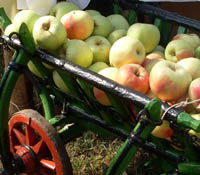 Beszámoló Rövid Ellátási Lánc (RÉL) konferenciáról, Párizsból