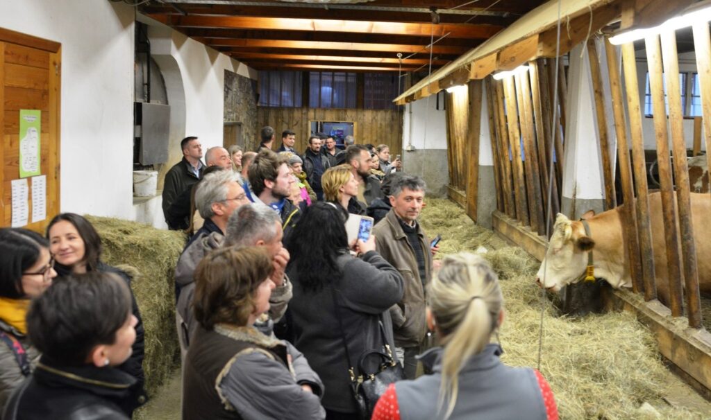 Gazdasag2 tehénhotel