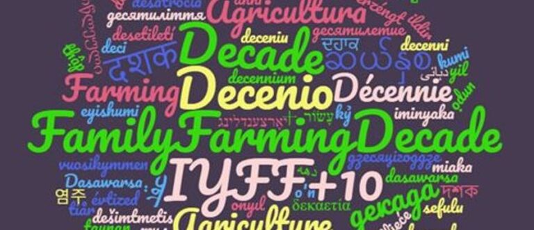 The Decade of Family Farming 2019-2028 Officially Adopted by the United Nations General Assembly