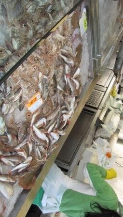 A SZOCIÁLIS VÁLLALKOZÁSOK HOZZÁJÁRULÁSA EURÓPÁHOZ- Strasbourgi Nyilatkozat 2014