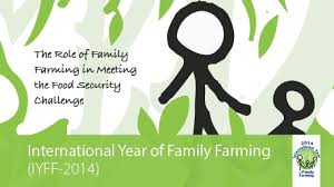 Invitation – IYFF +10 Hungarian National Committee Meeting – November 17, 2015, 3:30 p.m. Budapesti Gazdasági Főiskola, Tanácsterem.