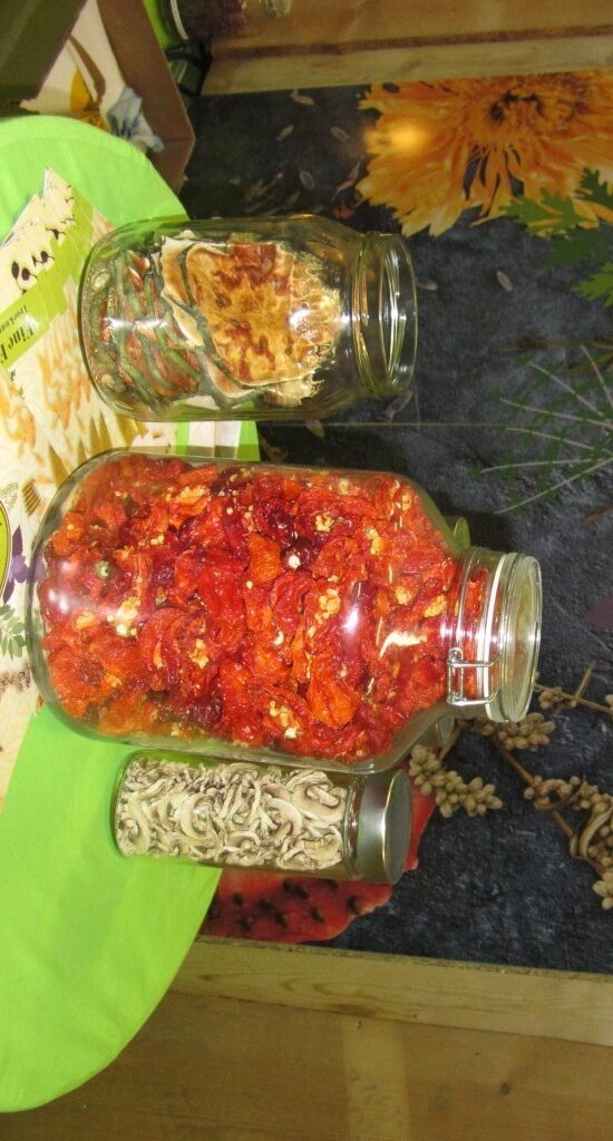 REL tudástár járvány időszakban