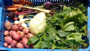 Letéti szerződés bevásárló közösségeknek?