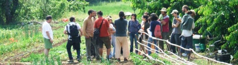 bond ifjusagi forum felhivas