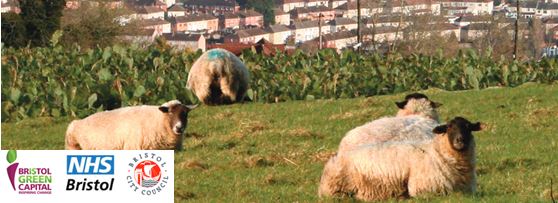 Bristoli Élelmiszerhálózat H2020 BOND Tanulmányút – Anglia 3