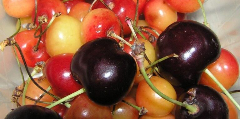 Háztáji felesleg és készített ingóság – NAV válasz