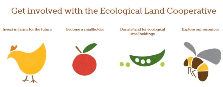 Ökológiai Földszövetkezet / Közösségi Farm / Tamarisk Farm H 2020 BOND Tanulmányút – Anglia 5