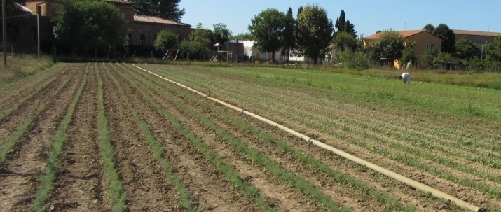 Termőföld használat 2