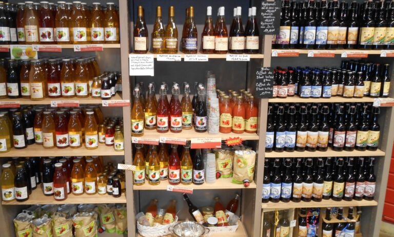 H2020 BOND Tanulmányút – Franciaország