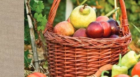 Helyi termelői piacot minden településre! VM Útmutató!