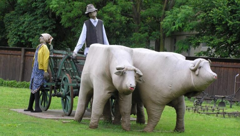 Termőföld használat