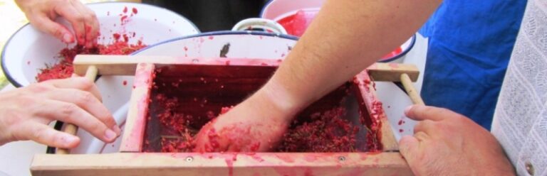 Good Hygiene Practice for Small-scale Production and Sale Manual is Adopted