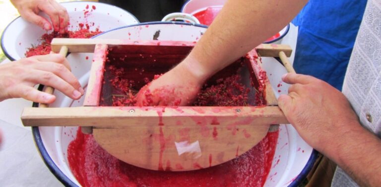 Elfogadásra került a KISTERMELŐI élelmiszer-előállítás és -értékesítés jó higiéniai gyakorlat