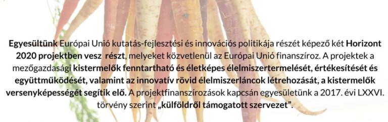 H2020 külföldről támogatott