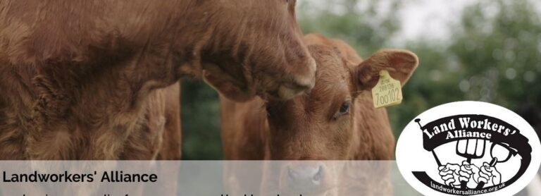 Földművesek Szövetsége H2020 BOND Tanulmányút – Anglia 1