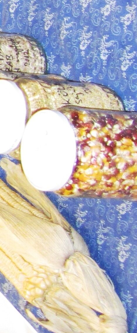 MAG-, és PALÁNTABÖRZE-KÖVETő