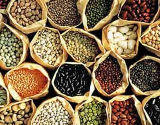 Following Seed and Seedling Auctions