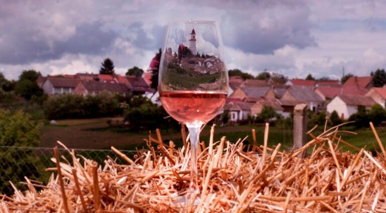 Invitation for Wine and Spirit Workshop