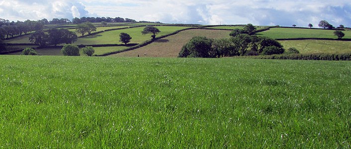 Legeltetett Állatállomány Szövetség H2020 BOND Tanulmányút – Anglia 4