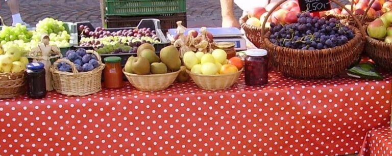 Helyi termelői piacok bejelentéséhez és működtetéséhez ÚTMUTATÓ és MINTA DOKUMENTUMOK