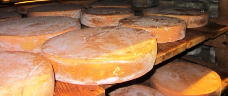 Tejfeldolgozás módosító javaslat a kézműves sajtokért és sajtkészítőkért.