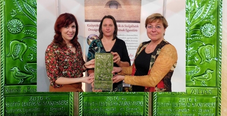 Szavazz! Segítő Hatóság Szakembere elismerő díj