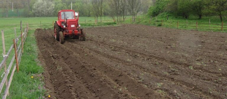 Zsebszerződés kiskapuja az új Ptk-ban?