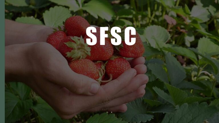 SFSC TIPS