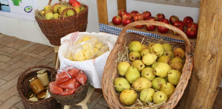 Tanulmány a rövid élelmiszer ellátási lánc témában
