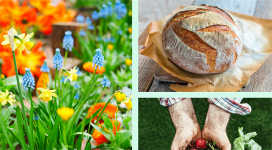 Kérje Ön is Élményparaszt Programunkat!