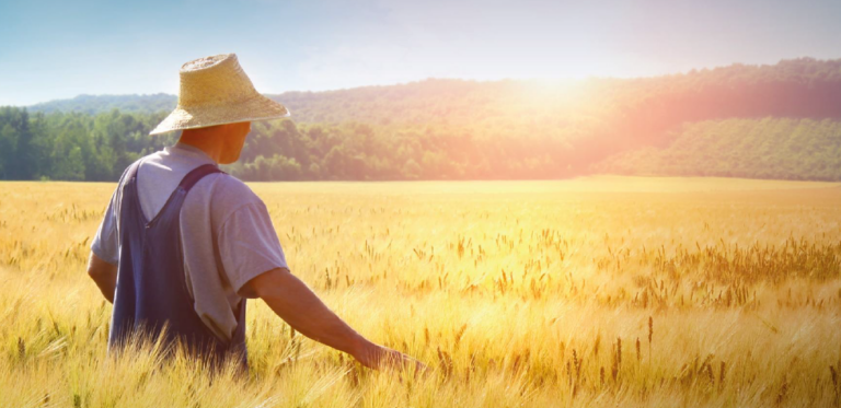 BioEast project findings on food systems