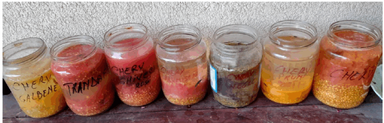 WORA 4. hírlevél – partnertalálkozó Romániában