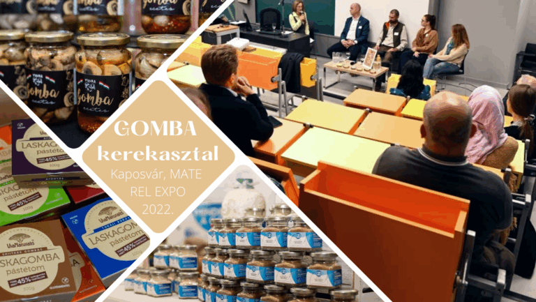 Gomba kerekasztal a REL Expón.