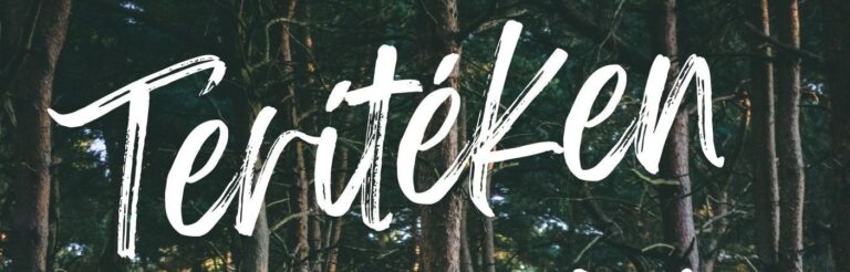 Terítéken az Erdő! – gyűjtés, értékesítés