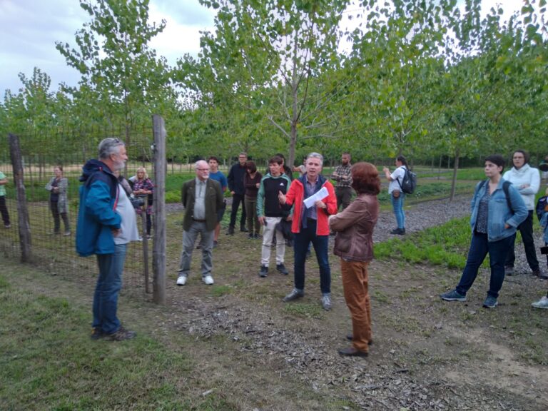 Megoldásokat keresve – „Jó gyakorlatok az agrárerdészetben” terepi bemutatóról készült cikk
