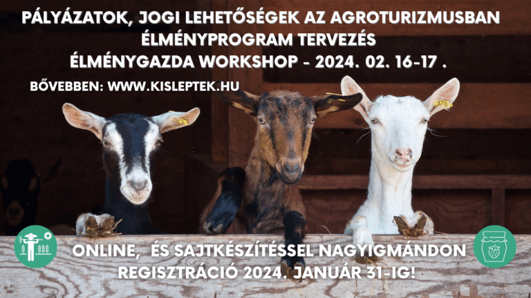 Élménygazda workshop 2024 február 16-17.