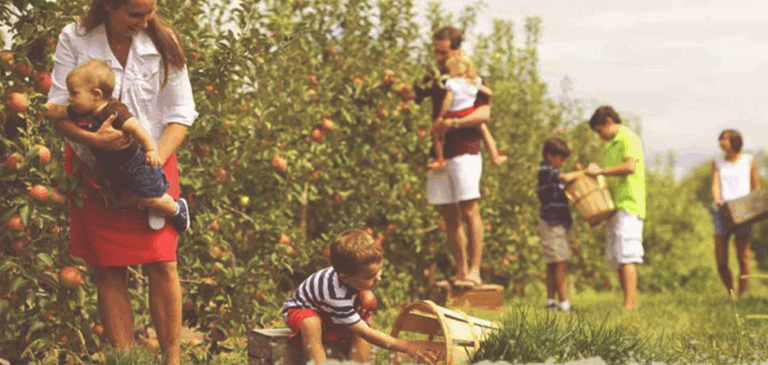 Jelentkezz a vidéki-és élményturizmus képzésre!