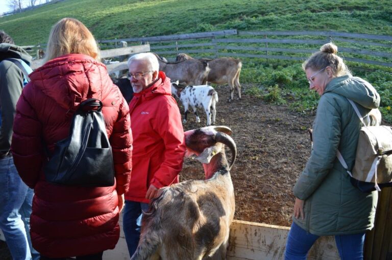 Farmwell- Ausztriai tanulmányút iskolafarmokon