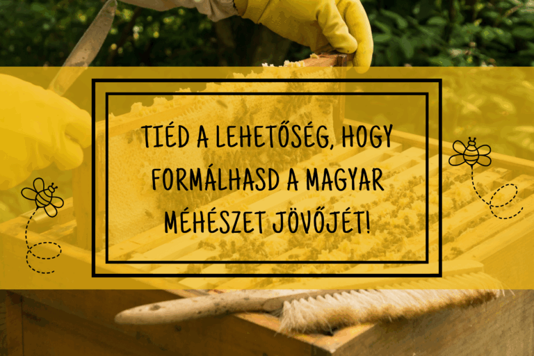 Méhészeti felmérés! Tiéd a lehetőség, hogy formálhasd a magyar méhészet jövőjét! ??
