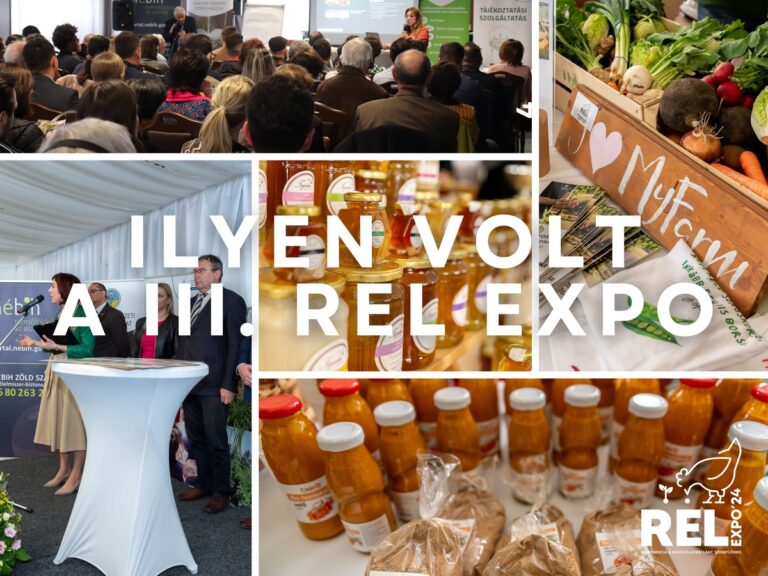 Óriási siker, a vártnál nagyobb látogatószám a III. REL Expón
