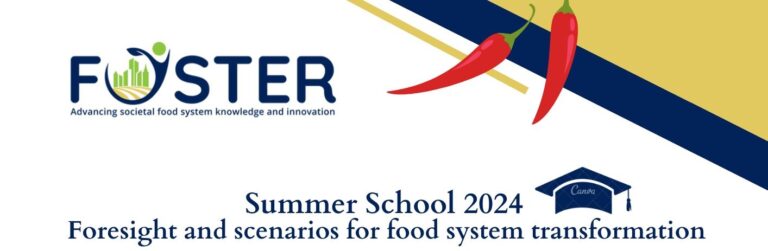 2. Foster Nyári Egyetem