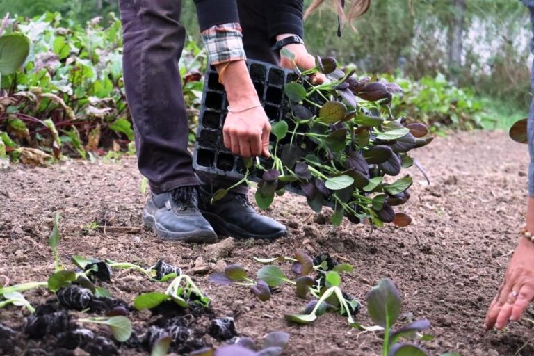 MEGHÍVÓ – Társadalmi vállalkozások fejlesztésének támogatása