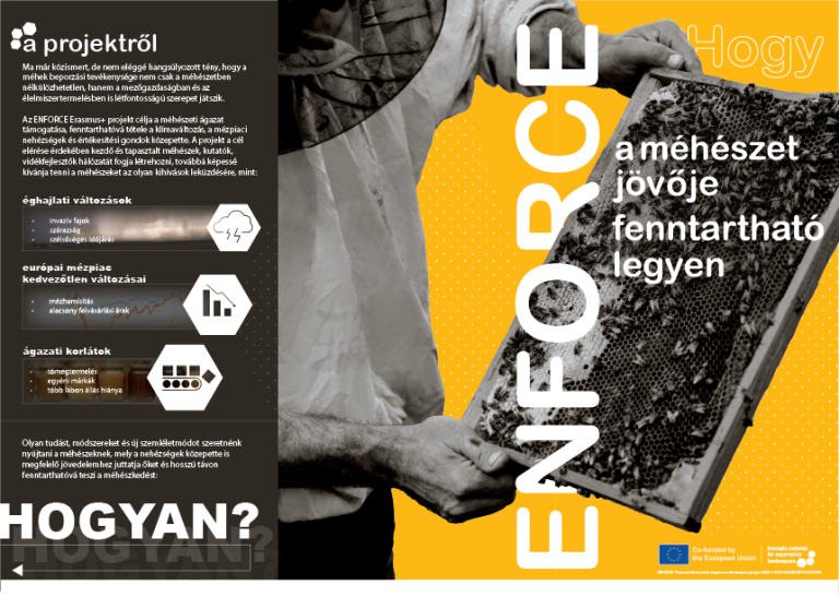 Magyarország étele 2024. szakácsverseny döntője Szolnokon – sok élménnyel