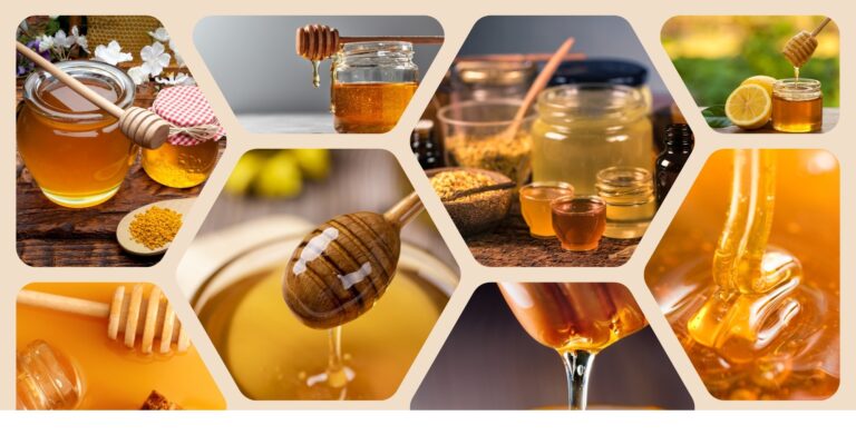 Honey tasting programme in Vác