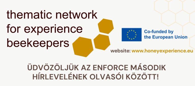 Legfrissebb hírek és aktualitások az ENFORCE projektről