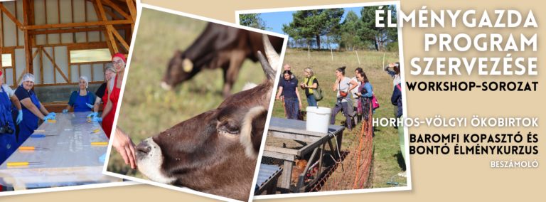 Élménygazda program csirkevágással a Horhos-Völgyben