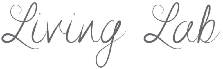 Living Lab – Élő Laboratórium a hazai REL tanácsadói hálózat létrehozásáért!